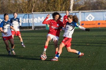 Bild 170 - wBJ Hamburger SV - Holstein Kiel : Ergebnis: 8:0